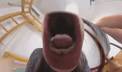 6K XINXIN vore feitsh vs Dwarves 360VR