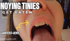 ANNOYING TINIES GET EATEN- GIANTESS VORE