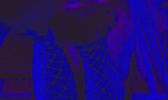 Ass and Foot Worship in Fishnets