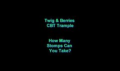 How Many Stomps Can You Take?
