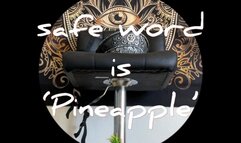 The safe word is ‘Pineapple’