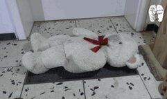 Sweet Teddy use as like a door mat