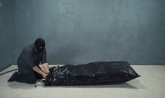 Air cushion experiment in a black vacuum shell