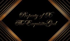 The Thief’s Game – A Findom Fantasy