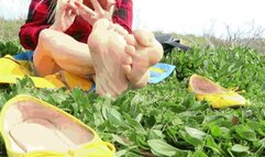 Viscous Swamp 12 foot AVI (1920x1080) FHD