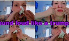 The pleasure of blowing my nose: loud, wet and uninhibited