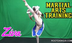 Ziva - Martial Arts Training