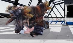 Sword X Hime - Full Gallery