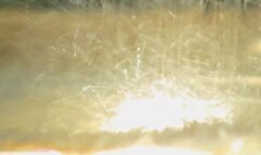 Ariel Vanean And Phillipe Gaudin