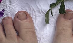 Jelly Tots - watch me enjoy plunging my toes into a decedent jelly bowl