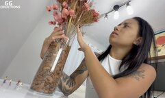 The giantess Julia crushing the little ones! (MP4-HD 1080p)