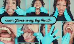 Exam Gloves and My Big Mouth