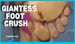 POV Crushed by Giantess Lina's Massive Feet
