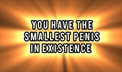 YOU HAVE THE SMALLEST PENIS IS EXISTENCE!