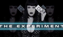 The Experiment 4K