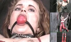 Best Of Red Riding Hood 320x240 wmv