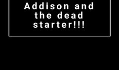 Addison and the Starter Motor issues!!!