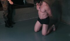 Car Thieves Part Vi Vladimir