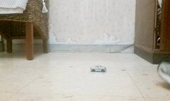 VENTING ANGER ON A POOR LITTLE CAR