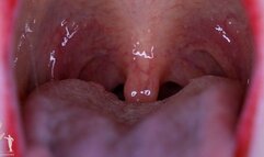 Remedy Mouth Vore Uvula Tease - 4K and Endoscope