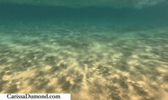 Nude swimming at Little Beach in Maui: first time!