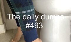 The daily dumps #493 mp4