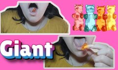 The Giant Gummy Bear Eater! ????????"