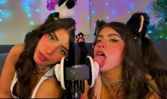 ASMR TWO Cats Flirt and Lick Your Ears with Eye Contact layered sounds - CorneliustheCat ASMR