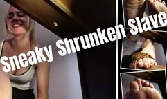 Sneaky Shrunken Slave