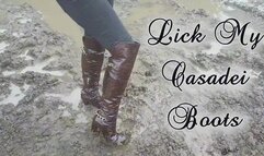 Lick My Casadei Boots