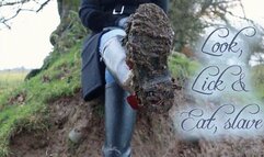 Look, Lick and eat, slave