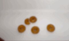 Crushing Donuts in my Bathtub