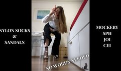 Mockery No Talk - Loser SPH JOI CEI - Nylon Socks & Sandals