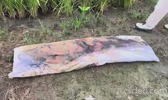 Oleanora trample big pillow witch dirty shoes