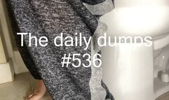 The daily dumps #536 mp4