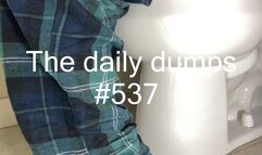 The daily dumps #537