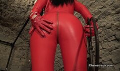 Leather Catsuit And Goddess Worship (MP4)