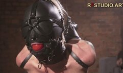 Darina - Kneeling Strappado, Tied Tits, Hooded and BallGagged (FULL HD MP4)