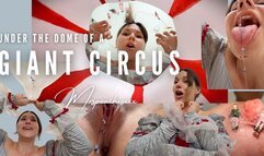Under The Dome of a Giant Circus