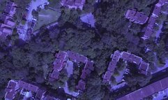 Dildo Time with a BBW