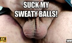 KingMarti: Suck My Sweaty Balls - 4k - WMV