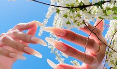 #267 - Posing my long nails outdoors in sunlight