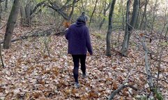 stuck in the woods aV