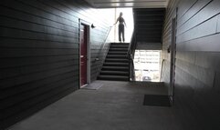 Bug's Neighbor Regression Part 01