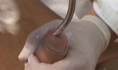 Cock Sounding Scene 04