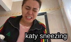 Double Sneeze Triggered by Strong Cleaner Smell