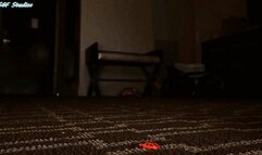 Giant Goddess FBC uanaware of you shrunk at her feet - MP4