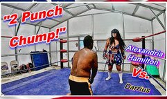 2 Punch Chump! WMV