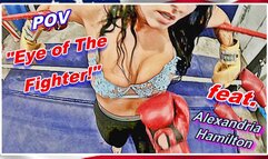 POV - Eye of The Fighter! WMV