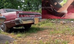 Listen to my t-bird pop when I stomp!